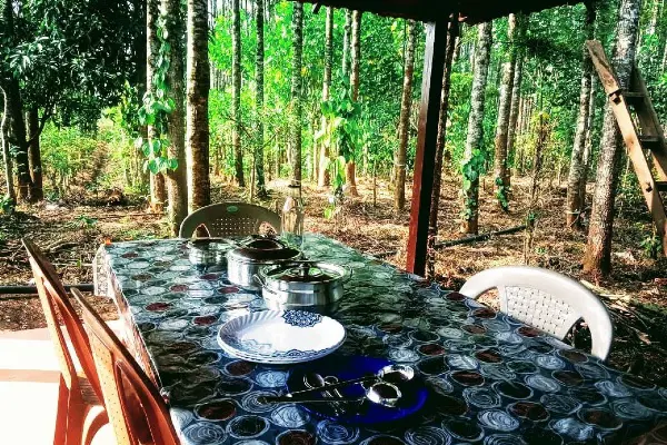 Luxurious Room Stay at Mullayanagiri