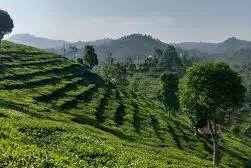 Kotagiri Trek