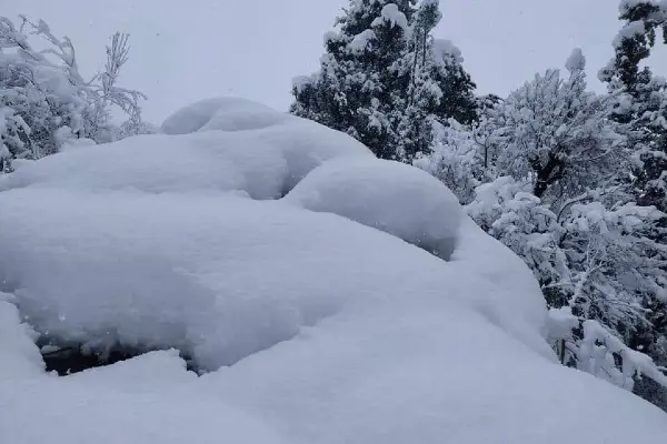 Pankhu Top Trek