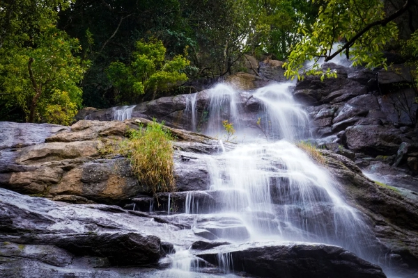 Yercaud Trip Package