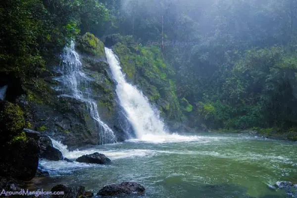 Agumbe Trip Package