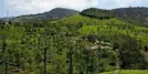 Tiger Hill Ooty: Complete Travel Guide