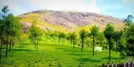 Photo Point Munnar: Best Photography Spot Amid Tea Gardens