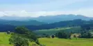 Wenlock Downs, Ooty – Explore the Stunning Grasslands of the Nilgiris