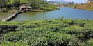 Vagamon Lake