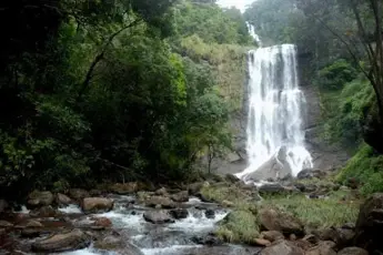 Kemmangundi Trek image 5