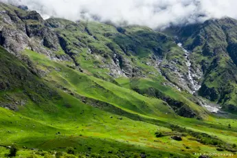 Valley Of Flowers Trek image 5