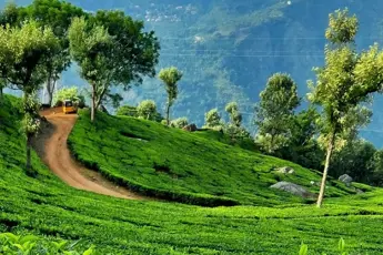 Coorg Tour Package image 5