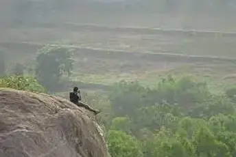 Turahalli Forest Trek With Rappelling image 4