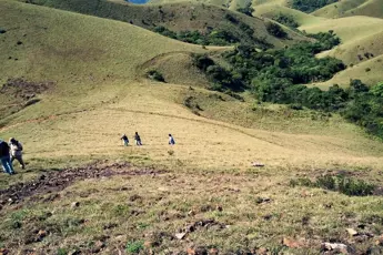 Mukurthi Peak Trek with Ooty sightseeing image 2
