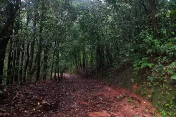 Gangadikal Trek image 3