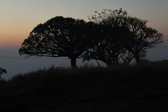 Narayanagiri Sunrise Trek with Water Activities image 2