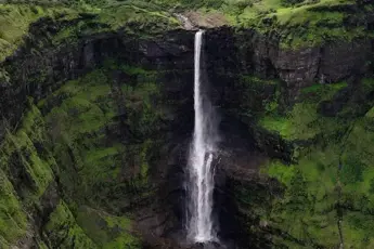Aadrai Jungle Trek
