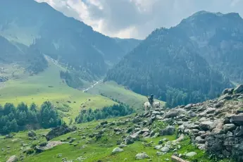 Kolahoi Glacier Trekimage 2