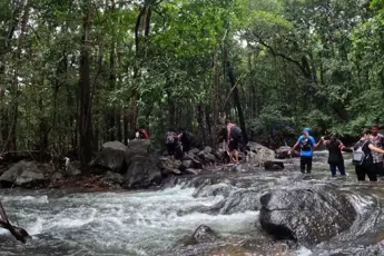 Dudhsagar Waterfall Trek image 2