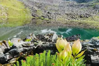 Sunderdhunga Trek