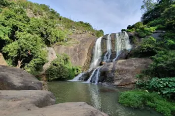 Mukurthi Peak Trek with Ooty sightseeing image 3