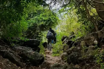 Vellagavi Trek, Kodaikanal image 3