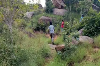 Ravugodlu Day Trek with Water Activitiesimage 3