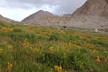 Nubra valley Trek image 2
