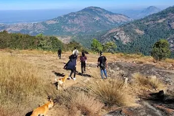 Horagina Betta Sunrise Trek with Water Activities image 4