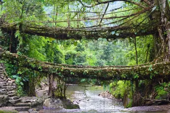 Meghalaya Tour Package From Shillong image 5
