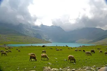 Kashmir Great Lakes Trek image 4