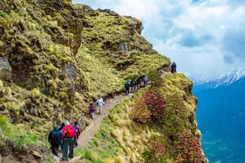 Badrinath Trek and Yatra image 5