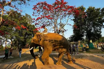 Coorg Tour Package image 2