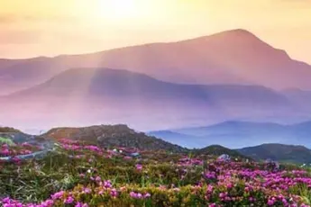 Valley Of Flowers Trek