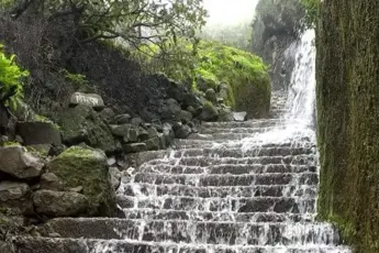 Visapur Fort Trekimage 2