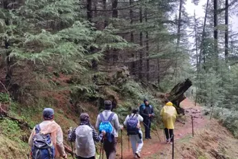 Deoban Trek image 2