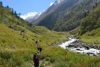 Dodital Trek image 2