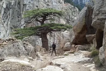 Gartang Gali Trek image 4