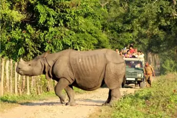 Dandeli Trip Package with Jungle Safari image 2