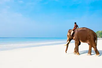 Andaman Tour Package From Port Blair image 4