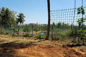Farm Stay with Pool And Adventure Activities image 2
