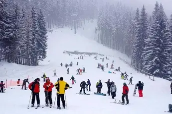 Shimla Tour Package image 2