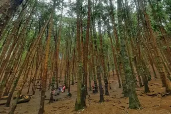 Kodaikanal Tour Package image 2