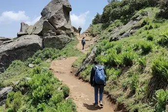 Churdhar Trek image 2