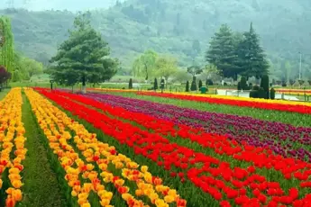 Kashmir Tour Packages​ image 4