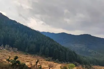 Devalsari Trek image 2