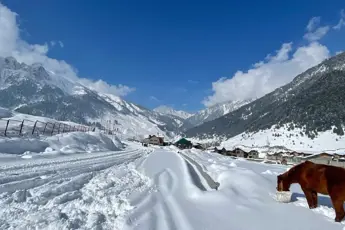 Thajiwas Glacier Trekimage 5 Thajiwas Glacier Trekimage 5