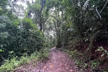 Bavikonda Trek image 2