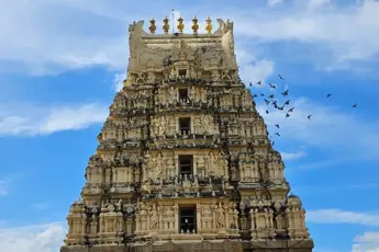 Melukote and Mysore One Day Trip From Bangalore image 4