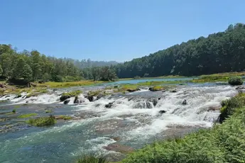 Ooty Tour Package image 3