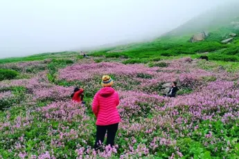 Kashmir Great Lakes Trek image 5