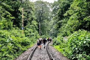 Dudhsagar Waterfall Trek image 5