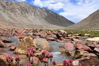 Nubra valley Trek image 3