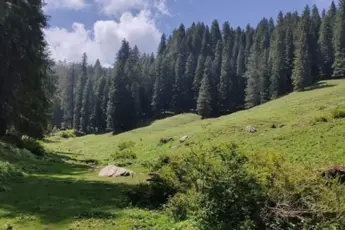 Kuppar Bugyal Trek image 2